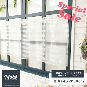 [ubNtCf[N[|zz] [XJtFJ[e 924~ψ  TCY145cm×50cm J[e { [ ډB Lb` ʏ gC ς_ C-F-1