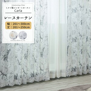 [XJ[e TCYI[_[ 201`300cm 201`250cmyYH993zJ I[_[J[e [X h[v { VA[J[e ԕ ԕ XgCv GKg tF~j OKC5