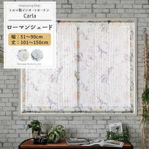���[�}���V�F�[�h I�^ ��51�`90cm ��101�`150cm�yYH993�z�J���� �I�[�_�[�V�F�[�h ���[�X �h���[�v ���{�� �V�A�[�J�[�e�� �ԕ� ���ԕ� �X�g���C�v �G���K���g �t�F�~�j�� OKC5