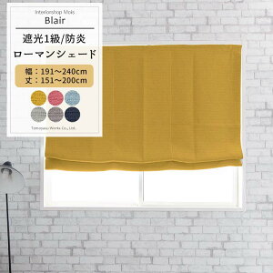 [11%OFFN[|zz×11/1] [}VF[h h^ 191`240cm 151`200cm [1] yAB570zuA { 􂦂 h Ռ1 n Vv a Q OKC5