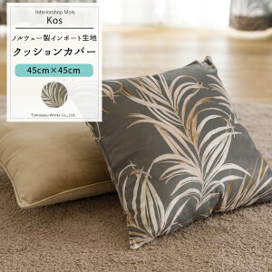 NbVJo[  45cm×45cm yVH9000z RX [1]  [t {^jJ xAn ʒ i C-F-1