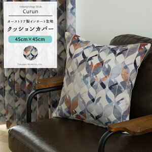 NbVJo[  45cm×45cm yYS7000z N [1]  􉽊w͗l  _ C-F-1