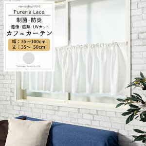 [X[p[Z[10OFF!]JtFJ[e  R Ռ Ց TCYI[_[ 35`100cm 35`50cm yRB259z sAA[X 1 OKC5