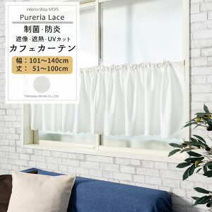 [X[p[Z[10OFF!]JtFJ[e  R Ռ Ց TCYI[_[ 101`140cm 51`100cm yRB259z sAA[X 1 OKC5