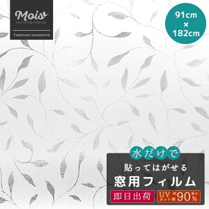 XehOXtB  EBhEtB /[t/o[ yWFSG07z [91cm×182cm] tB  tB KX ډB ډBV[g XehOX V[g 