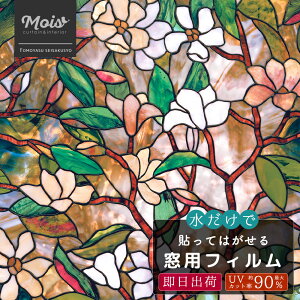 [Si|Cg10{520`4H] XehOXtB  /}OmA T}[ I[^ yWFSP06z[ EBhEtB tB  tB KX ډB V[g Xe