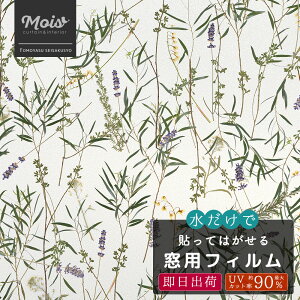 [1010OFFN[|zz]  葋 KXtB /[J yWFSP30z[ EBhEtBKX ډB ډBV[g XehOX V[g k ͂ UVJbg {^jJ