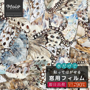 [11%OFFN[|zz×11/1] KXtB XehKXtB o^tC yWFSP35z[ EBhEtBKX ډB ډBV[g XehOX V[g V[g K