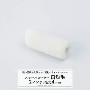 [�労�ӍՌ���N�[�|���z�z] �s�����o�ׁt �X���[�����[���[ �� �Z��4mm 2�C���` [�h������ �y���L ���[���[] H-N-0