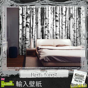 ǎ Aǎ ANZgNX CMXuh 1wall yW4P-FOREST-005 zBirch forestu̐Xv ̂tǎ fUC  A NX DIY tH[ CeA n C-F-1