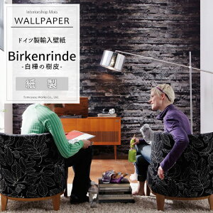 Aǎ ANZgNX hCcC|[gǎ y8-700zBirkenrindeu̎v mǎ   ؖ ؖڒ Ebh ǎ NX ̂t jOCeA DIY tH[ Be X 