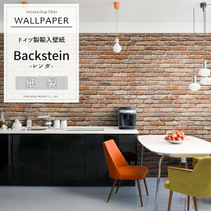 [ubNtCf[N[|zz] Aǎ ANZgNX hCcC|[gǎ y8-741zBacksteinuKv mAǎ fUC  CO O  ǎ NX ̂t DIY 