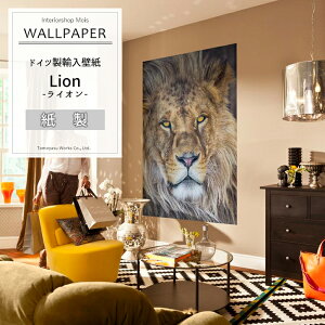 [25N[|×P10{20`4] Aǎ ANZgNX hCcC|[gǎ y1-619zLionuCIv mǎ  CO O  ǎ NX ̂t DIY tH[  A