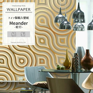 [ubNtCf[N[|zz] Aǎ ANZgNX hCcC|[gǎ y8-940zMeanderu֍sv mAǎ fUC  CO O  ǎ NX ̂t DIY 