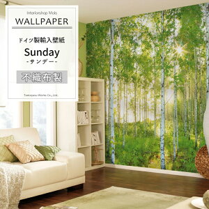 Aǎ ANZgNX hCcC|[gǎ yXXL4-519zSundayuTf[v mǎ  CO O sDz t[X ǎ NX ̂t DIY tH[ R i ze X 