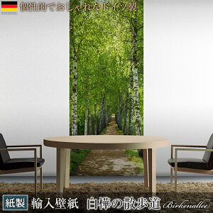 [15܂ŌN[|zz] Aǎ ANZgNX hCcC|[gǎ y2-1717zBirkenalleeuUvmAǎ fUC  CO O  ǎ NX ̂Ȃ DIY tH