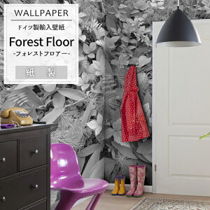 [ubNtCf[N[|zz] Aǎ ANZgNX hCcC|[gǎ y8-914zForest FloorutHXgtA[vmAǎ fUC   ǎ NX ̂t