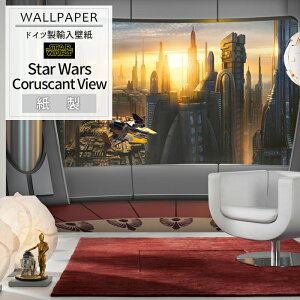 [11%OFFN[|zz×11/1] Aǎ ANZgNX hCcC|[gǎ y8-483zStar Wars Coruscant Viewmǎ   ǎ NX ̂肠 DIY tH[ fBYj[ X^[EH