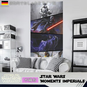 Aǎ ANZgNX hCcC|[gǎ yVD-027zStar Wars Moments ImperialsmAǎ sDz ǎ NX ̂t DIY tH[ fBYj[ X^[EH[Y _[XxC_[ Xg[