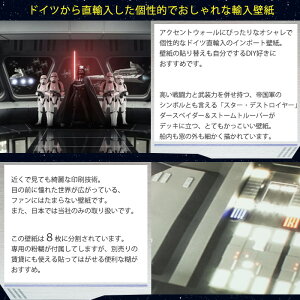 楽天市場 日限定全品8 Offクーポン 即日出荷 ドイツ製インポート壁紙 8 445 Star Wars Destroyer Deck 輸入壁紙 デザイン おしゃれ 輸入 クロス Diy リフォーム ディズニー スターウォーズ ダースベイダー ストームトルーパー デストロイヤー 子供部屋