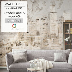 [ubNtCf[N[|zz] Aǎ ANZgNX hCcC|[gǎ y6010A-VD1zCitadel Panel SuV^fvmAǎ fUC  sDz ǎ NX ̂t 