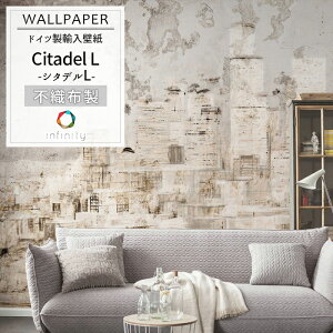 Aǎ ANZgNX hCcC|[gǎ y6010A-VD4zCitadel LuV^fvmǎ  CO O sDz ǎ NX ̂t DIY tH[ ze X  CeA 