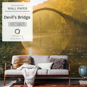 Aǎ ANZgNX hCcC|[gǎ ySH037-VD4z Devil's BridgeufrYubWvmǎ  CO  Rbc ̋ sDz ǎ NX DIY tH[ ze X
