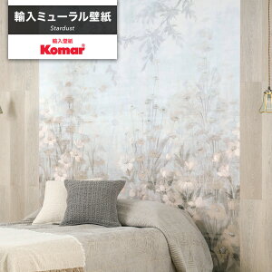 ǎ NX ANZgNX fUC ~[ǎ  Aǎ CeA ͗l  i O[ X^[_Xg Stardust Komar C-F-1