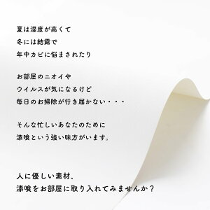 楽天市場 壁紙 シール はがせる シールタイプ 漆喰 貼ってはがせる 漆喰粘着シート サイズ 210mm 297mm 5枚セット ホワイト 白 おしゃれ 簡単 賃貸 抗菌 ピタットシックイ カーテン インテリア Mois 楽天市場 壁紙 シール はがせる シールタイプ 漆喰 貼ってはがせる 漆喰粘着シート サイズ 210mm 297mm 5枚セット ホワイト 白 おしゃれ 簡単 賃貸 抗菌 ピタットシックイ カーテン インテリア Mois