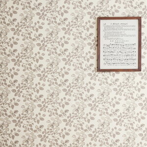 ǎ k ANZgNX  Aǎ NX h  ԕ A ǎ CeA ͗l zCg sN O[ u[ O[ x[W Fiona tBIi Nordic Compositions C-F-1