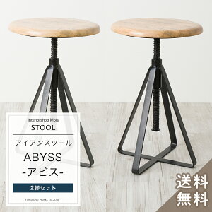 [SiP10{1520`4Ԍ] Xc[   ؐ ACA ~  ۈ֎q `FA[ CX ArX TIS-1 C-F-3