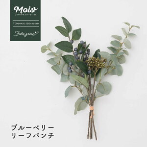 [11OFFN[|zz12/1] tFCNO[  u[x[[to` u[P t[u[P [t  lH ϗtA  o A  G CeA i` 