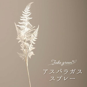 [ubNtCf[N[|zz] tFCNO[ ~j u[P ϗtA AXpKXXv[ lHϗtA  o A  G CeA i` ݂艺 