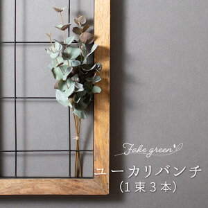 tFCNO[ [J ϗtA [Jo`i13{j lHϗtA  o A  G CeA i` ݂艺 ǖʗΉ u[P AW C-F-1