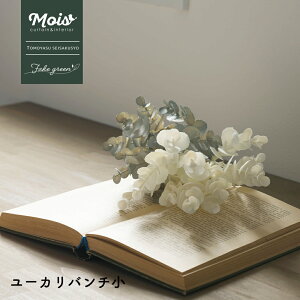 tFCNO[ u[P t[u[P [J  [Jo` lH ϗtA  o A  G CeA i` ǖʗΉ C-F-1