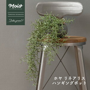 tFCNO[ ݂艺 z lAX nMO|bg lH ϗtA  o A  G CeA i` ǖʗΉ C-F-1