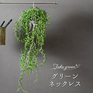 tFCNO[ Ǌ| ϗtA O[lbNX lHϗtA  o A  G CeA i` ݂艺 ǖʗΉ C-F-1