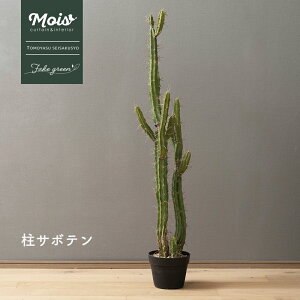 tFCNO[ T{e 傫 120cm T{e A lH ϗtA  o A  G CeA i` ItBX X C-F-1