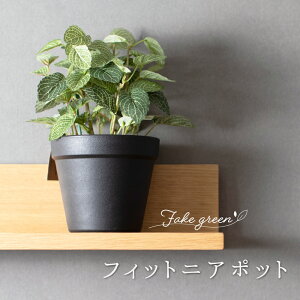 [11%OFFN[|zz×11/1] tFCNO[ ~j ϗtA  Ǌ|  tBbgjA |bg lHϗtA  o A  G CeA i` I |bgt C