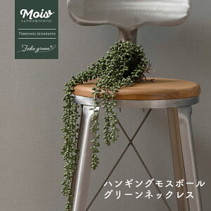 tFCNO[ ݂艺 nMOX{[ O[lbNX lH ϗtA  o A  G CeA i` ǖʗΉ C-F-1