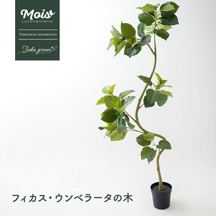 楽天市場】[お買い物マラソン限定クーポン配布中] フェイクグリーン 
