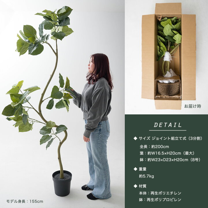 楽天市場】[お買い物マラソン限定クーポン配布中] フェイクグリーン 