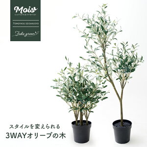 tFCNO[ A I[u  傫 70cm 100cm 150cm ϗtA lH   O[ A A Aؔ  3WAYI[u̖ JQ
