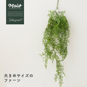 tFCNO[ 傫߃TCY t@[ lH ϗtA  o A  G CeA i` ǖʗΉ C-F-3