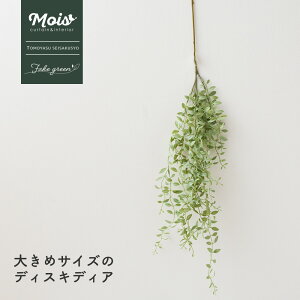 tFCNO[ 傫߃TCY fBXLfBA lH ϗtA  o A  G CeA i` ǖʗΉ C-F-3