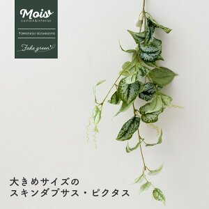 [11OFFN[|zz12/1] tFCNO[ 傫߃TCY XL_vTXEsN^X lH ϗtA  o A  G CeA i` ǖʗΉ C-F-3