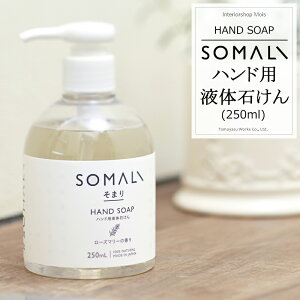 soׁt SOMALI ܂ nhpt̐΂ 250ml [Y}[̍ ؑΌ [nh\[v t̐΂ I[KjbN Mtg |  {]