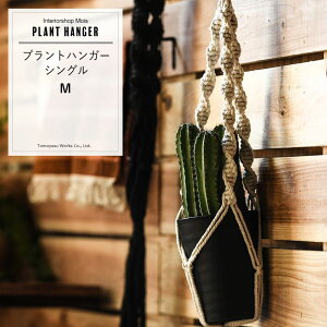 [ubNtCf[N[|zz] nMOv^[ ϗtA v^[ ݂邷 R j A  ݂艺 C jO vgnK[ M VO soׁt C-F-1