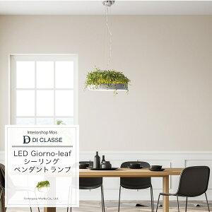 [}\1000~OFFN[|zz] Ɩ V Cg  V[OCg tFCNO[ A LED Wm V[O y_gv [t DICLASSE CeA i` k