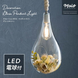 [全品ポイント10倍！20日20時～4時間限定] 照明 LED 電球付き シーリングライト ライト おしゃれ 大きめ E26 フェイクグリーン アレンジメント デコレーションガラスペンダントライト グリーンセット Lサイズ CSZ